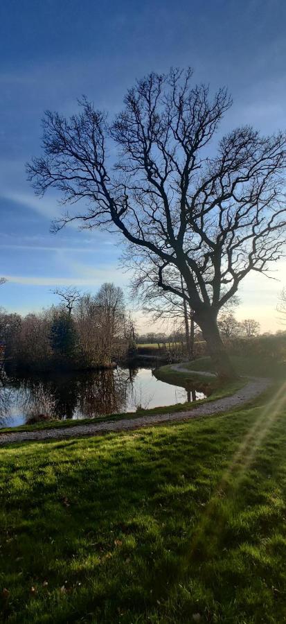 Kingfisher Cabin - Wild Escapes Wrenbury Off Grid Glamping - Ages 12 And Over Baddiley Exterior foto